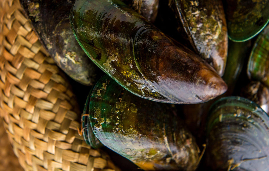 How does Green Lipped Mussel help with joints and inflammation?