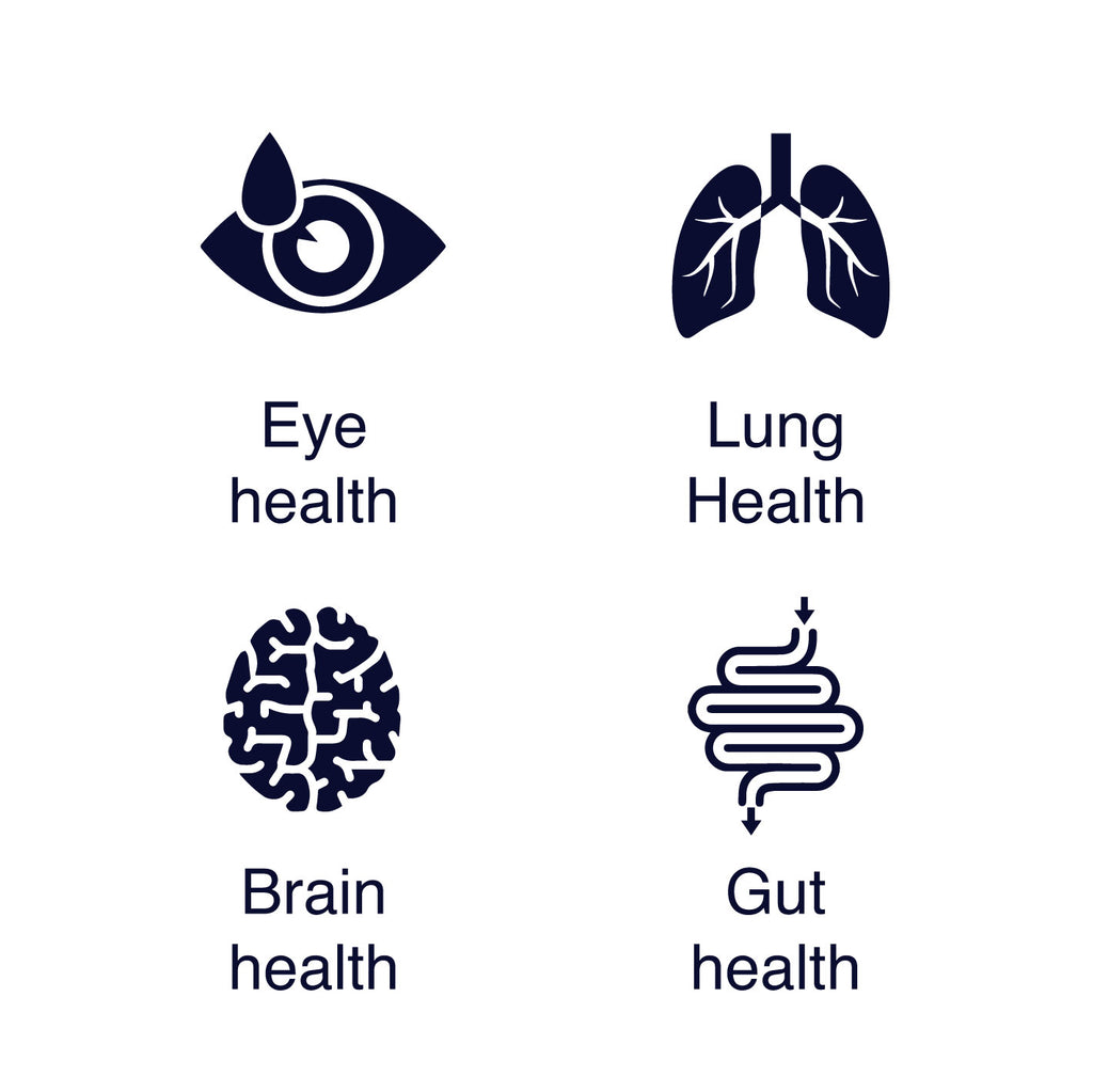 Superfruit Bundle *NEW* - Lung, eye, brain and gut support